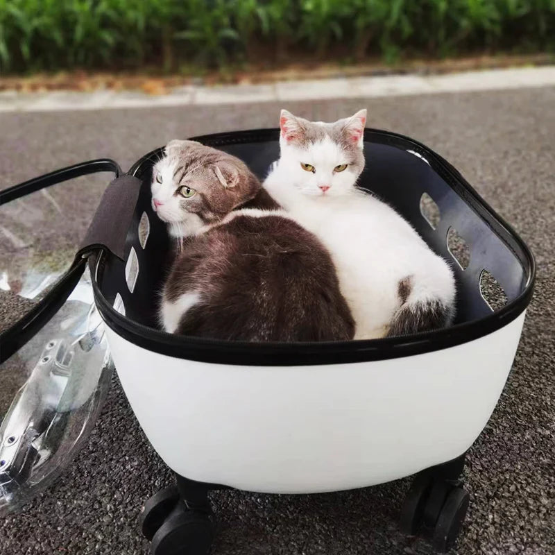 Transparent Capsule Pet Travel Carrier with Wheels – Portable Pet Trolley Bag for Cats & Small Dogs (Up to 10kg)