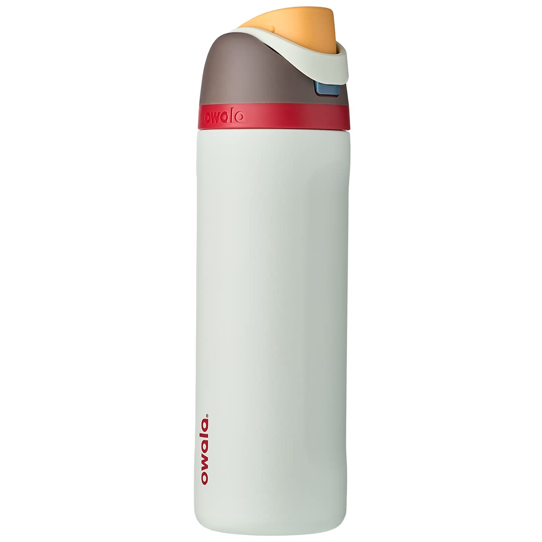 Owala FreeSip Insulated Stainless Steel Water Bottle