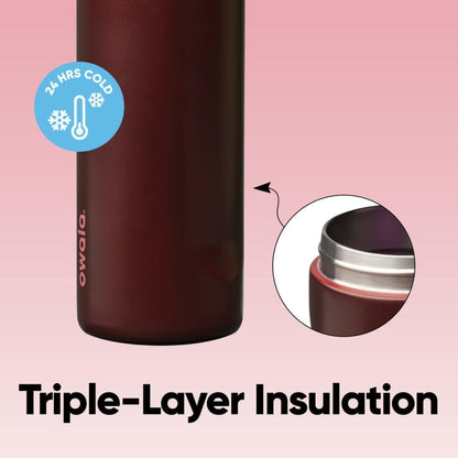 Owala FreeSip Insulated Stainless Steel Water Bottle with Straw