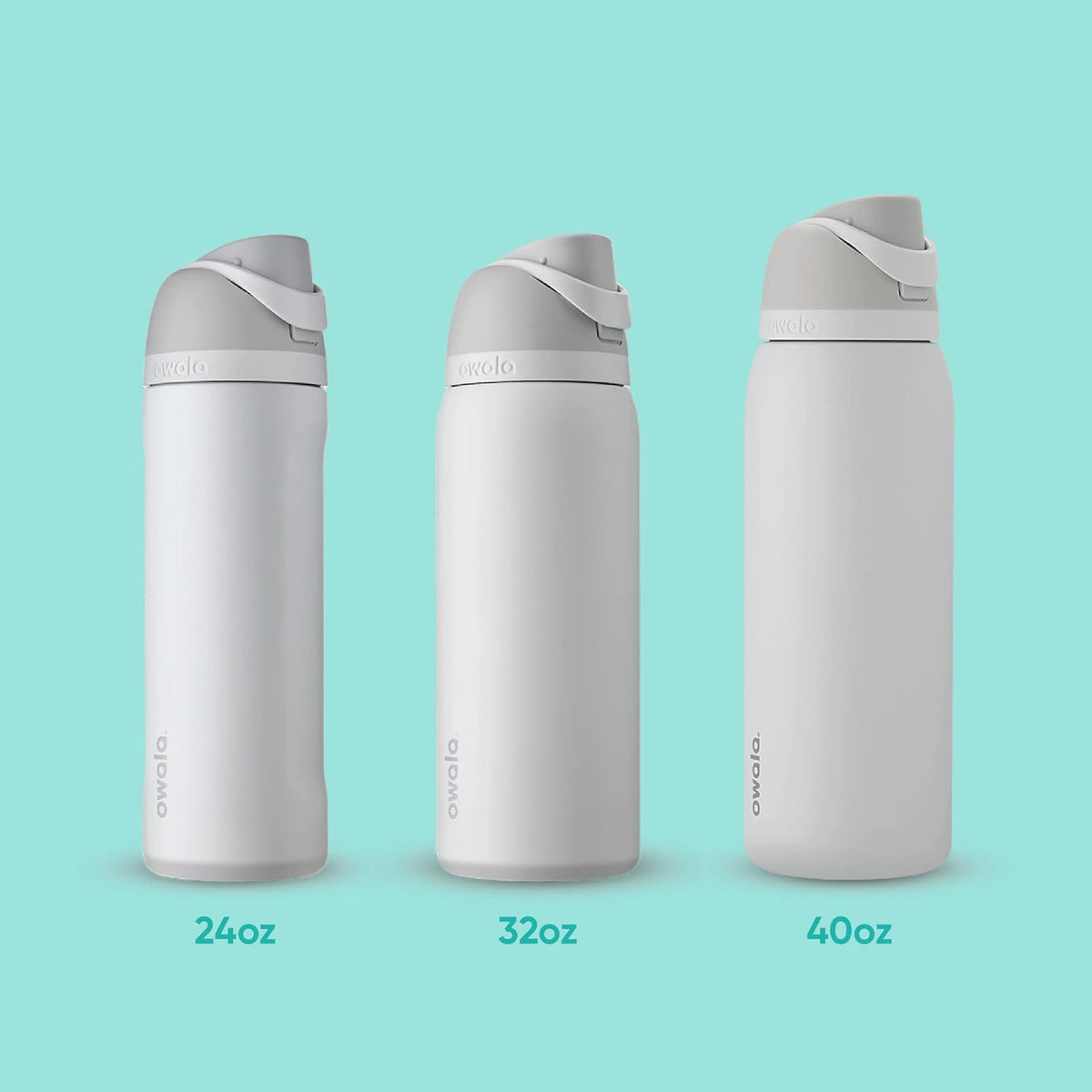 Owala FreeSip Insulated Stainless Steel Water Bottle