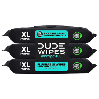 DUDE Wipes - Flushable Wipes - 6 Pack, 288 Wipes