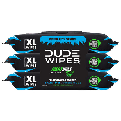 DUDE Wipes - Flushable Wipes - 6 Pack, 288 Wipes