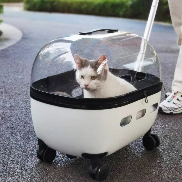 Transparent Capsule Pet Travel Carrier with Wheels – Portable Pet Trolley Bag for Cats & Small Dogs (Up to 10kg)