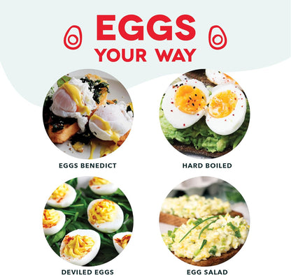 DASH Electric Rapid Egg Cooker – 6-Egg Capacity, Auto Shut-Off, Hard Boiled, Poached & Scrambled