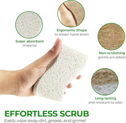 Biodegradable Natural Kitchen Sponge – Cellulose & Coconut Husk, Non-Scratch, Dishwasher Safe