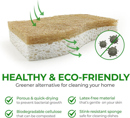 Biodegradable Natural Kitchen Sponge – Cellulose & Coconut Husk, Non-Scratch, Dishwasher Safe