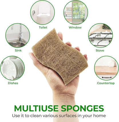 Biodegradable Natural Kitchen Sponge – Cellulose & Coconut Husk, Non-Scratch, Dishwasher Safe