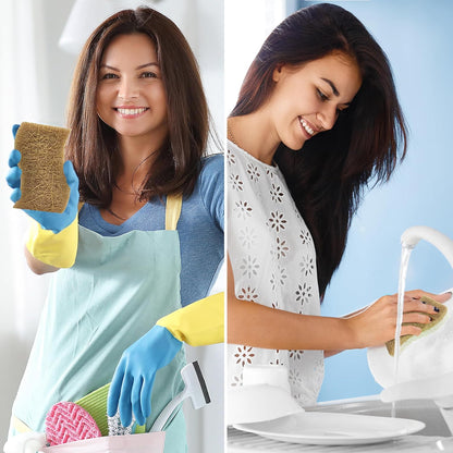 Biodegradable Natural Kitchen Sponge – Cellulose & Coconut Husk, Non-Scratch, Dishwasher Safe