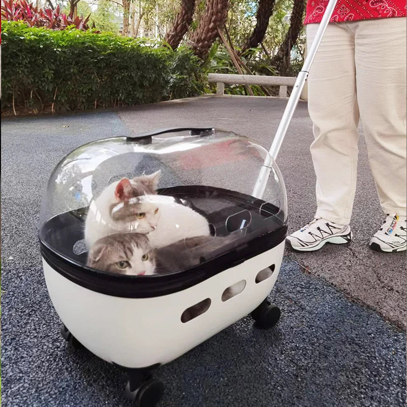 Transparent Capsule Pet Travel Carrier with Wheels – Portable Pet Trolley Bag for Cats & Small Dogs (Up to 10kg)