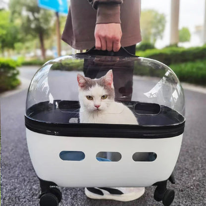 Transparent Capsule Pet Travel Carrier with Wheels – Portable Pet Trolley Bag for Cats & Small Dogs (Up to 10kg)