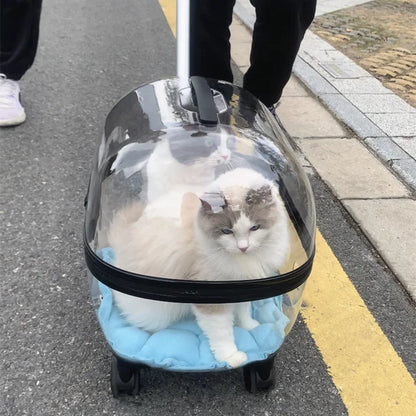 Transparent Capsule Pet Travel Carrier with Wheels – Portable Pet Trolley Bag for Cats & Small Dogs (Up to 10kg)